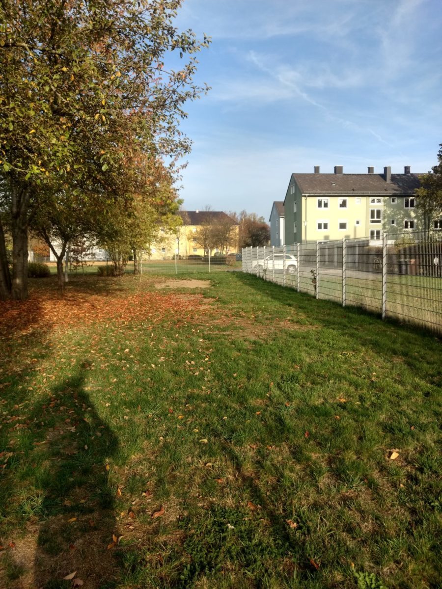 Unser Schulacker vor der Bearbeitung